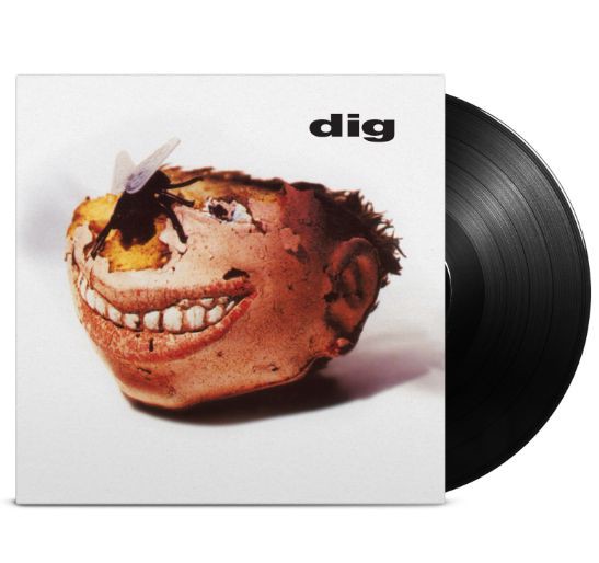 Dig on Dig bändin vinyyli LP-levy.