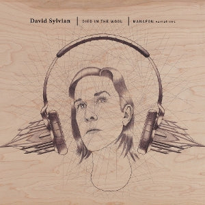 Died In The Wool - Manafon Variations on David Sylvian artistin vinyyli LP-levy.