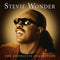 The Definitive Collection on Stevie Wonder artistin vinyyli LP-levy.