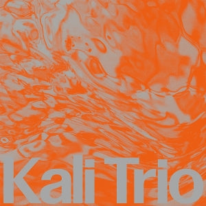 The Playful Abstract on Kali Trio bändin vinyyli LP-levy.