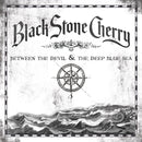 Between The Devil & The Deep Blue Sea on Black Stone Cherry bändin vinyyli LP.