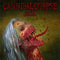 Violence Unimagined on Cannibal Corpse bändin vinyyli LP-levy.