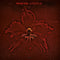 Burning Red on Machine Head bändin vinyyli LP-levy.