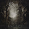 Blackwater Park on Opeth bändin vinyyli LP-levy.