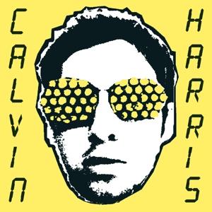 I Created Disco on Calvin Harris artistin vinyyli LP-levy.