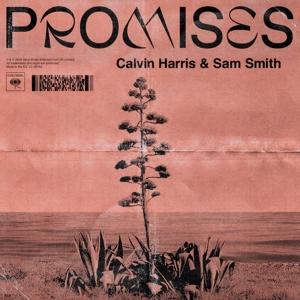  Promises on Calvin Harris/ Sam Smith bändin vinyyli levy12".