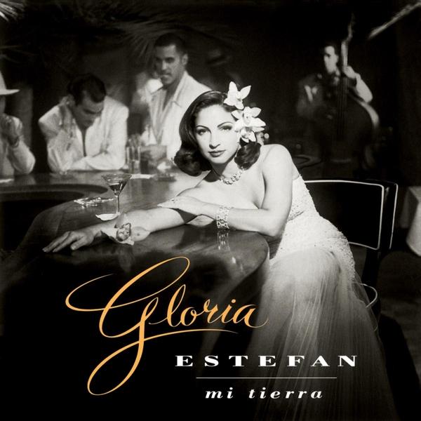 Mi Tierra on Gloria Estefan artistin LP-levy.