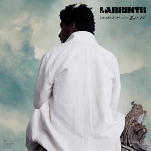 Misfit Kid on Labrinth bändin vinyyli LP-levy.