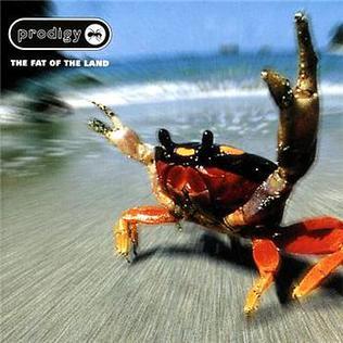 Fat Of The Land on Prodigy bändin vinyyli LP-levy.