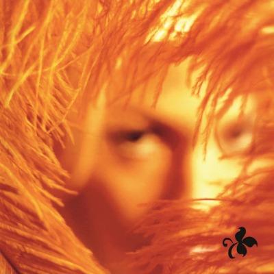 Shangri -La Dee Da on Stone Temple Pilots yhtyeen LP-levy.